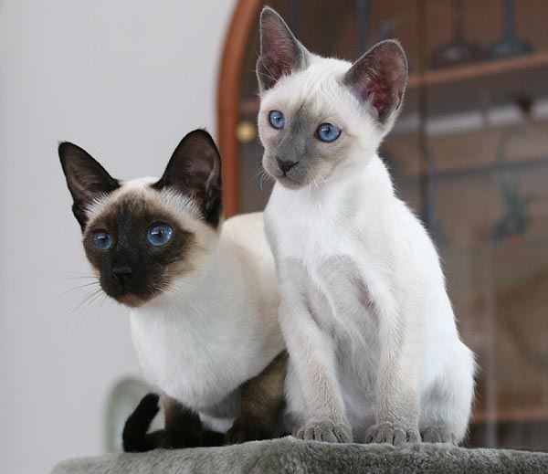 Photo: Carolin Skirl