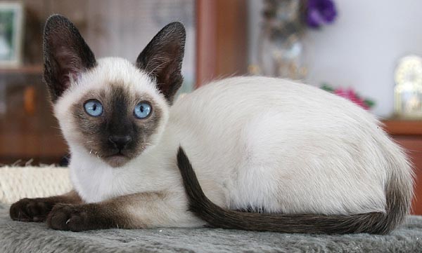 Photo: Carolin Skirl