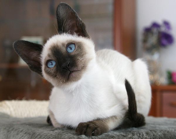 Photo: Carolin Skirl