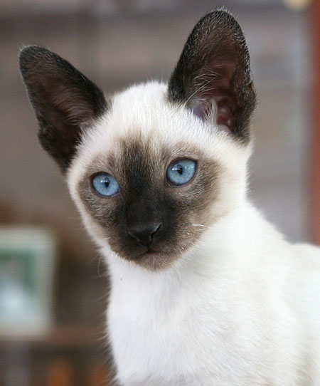 Photo: Carolin Skirl