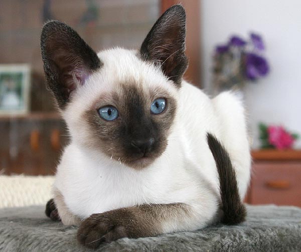 Photo: Carolin Skirl