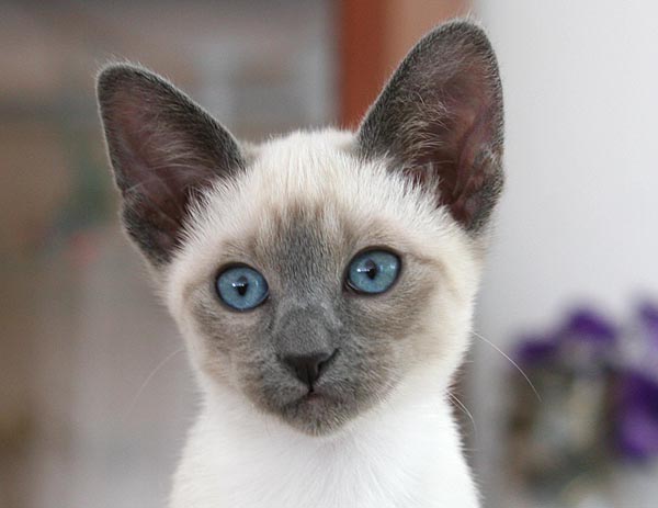 Photo: Carolin Skirl