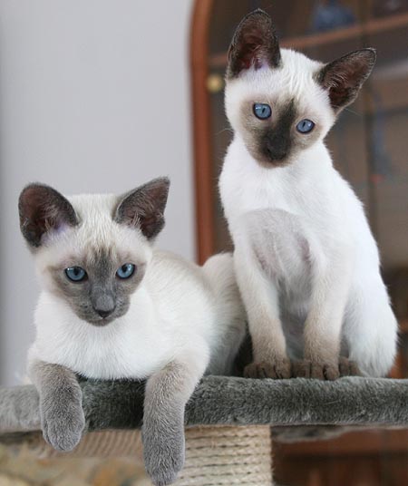 Photo: Carolin Skirl