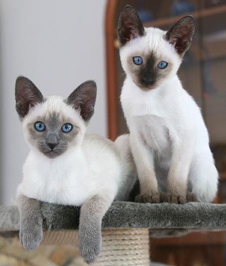 Photo: Carolin Skirl