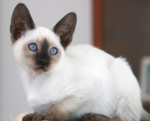 Photo: Carolin Skirl