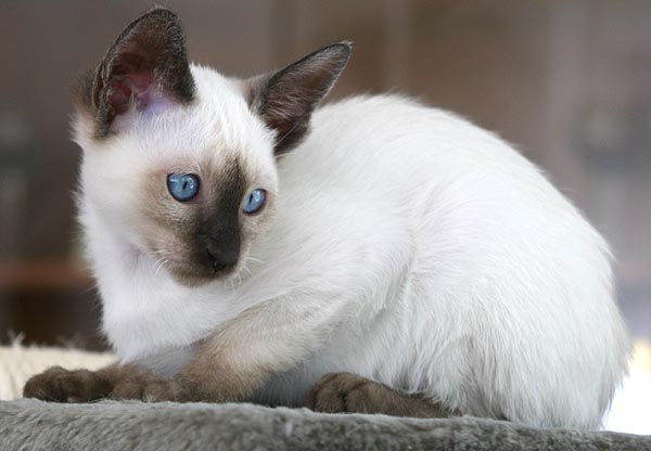 Photo: Carolin Skirl