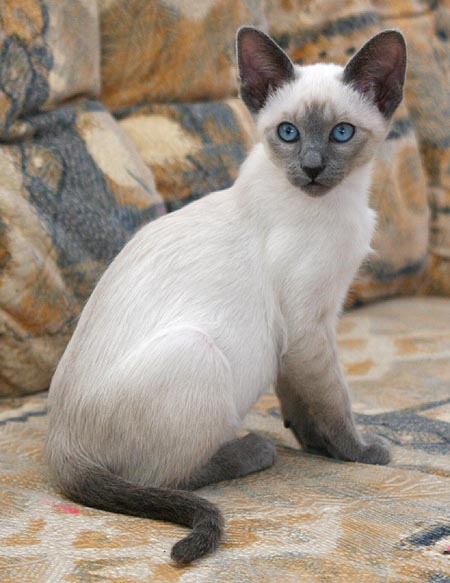 Photo: Carolin Skirl