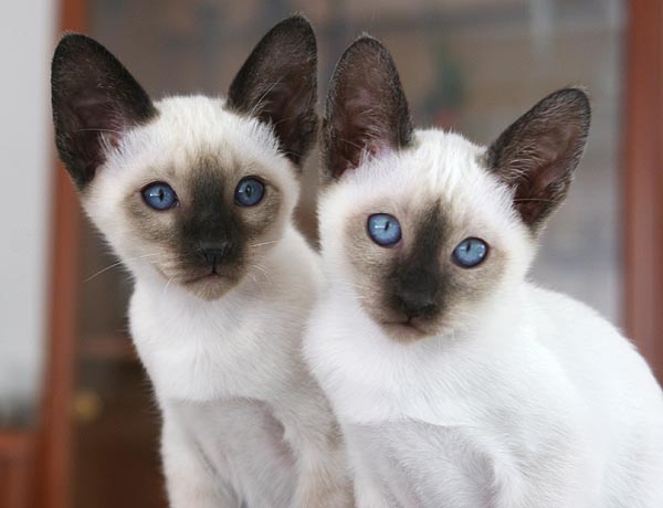 Photo: Carolin Skirl