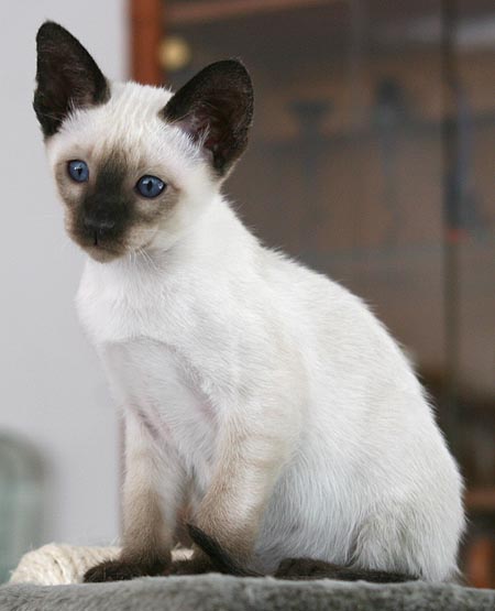 Photo: Carolin Skirl