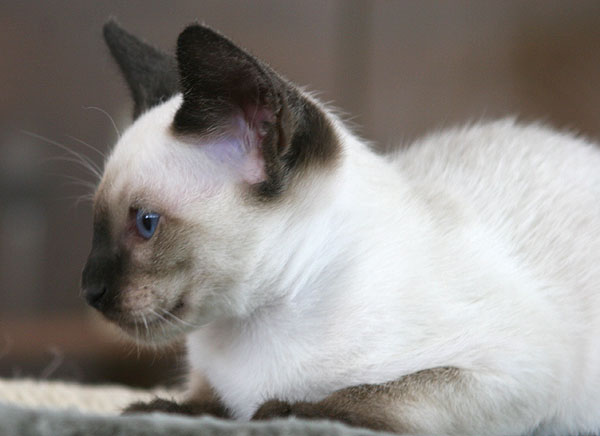 Photo: Carolin Skirl