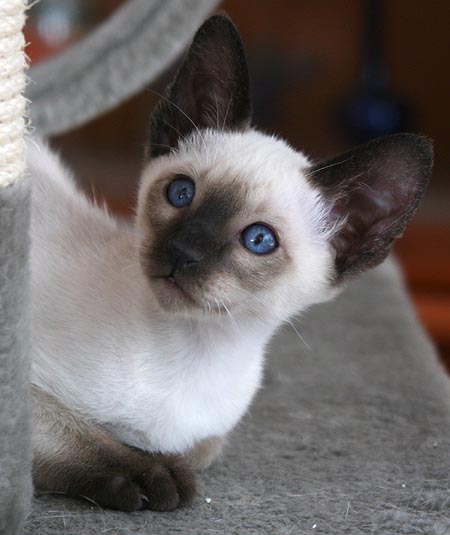 Photo: Carolin Skirl