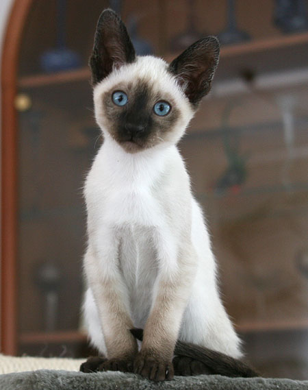 Photo: Carolin Skirl