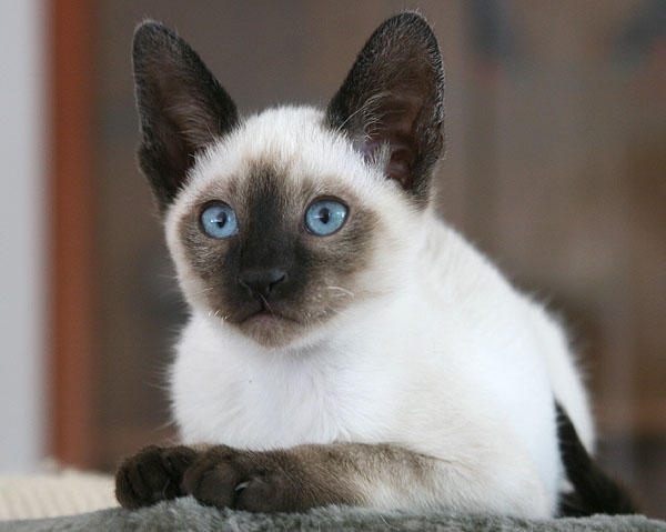 Photo: Carolin Skirl