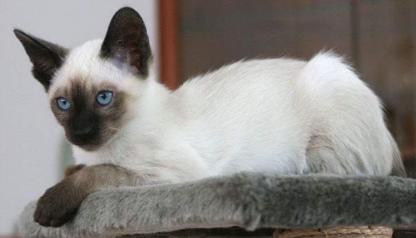 Photo: Carolin Skirl