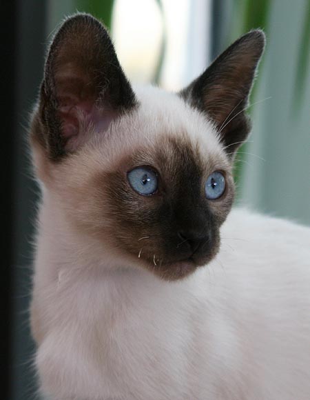 Photo: Carolin Skirl