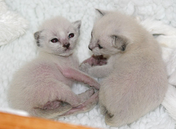 Photo: Carolin Skirl