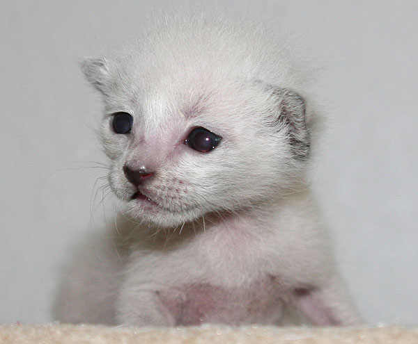 Photo: Carolin Skirl