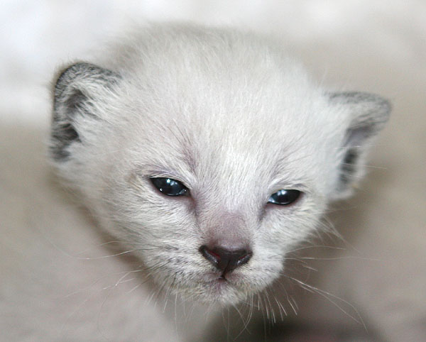 Photo: Carolin Skirl