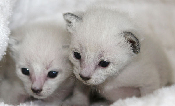 Photo: Carolin Skirl