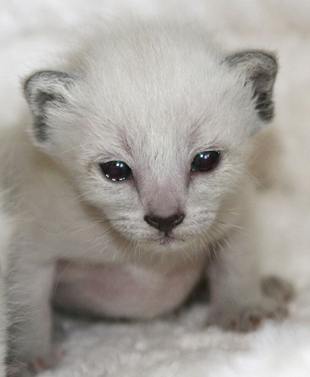 Photo: Carolin Skirl