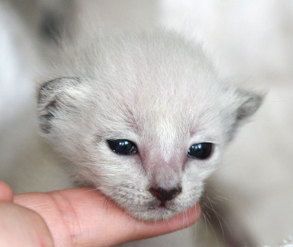 Photo: Carolin Skirl