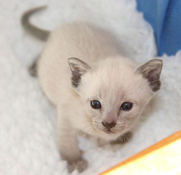 Photo: Carolin Skirl