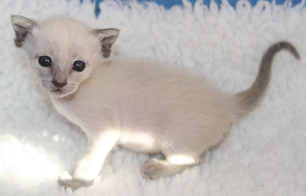 Photo: Carolin Skirl