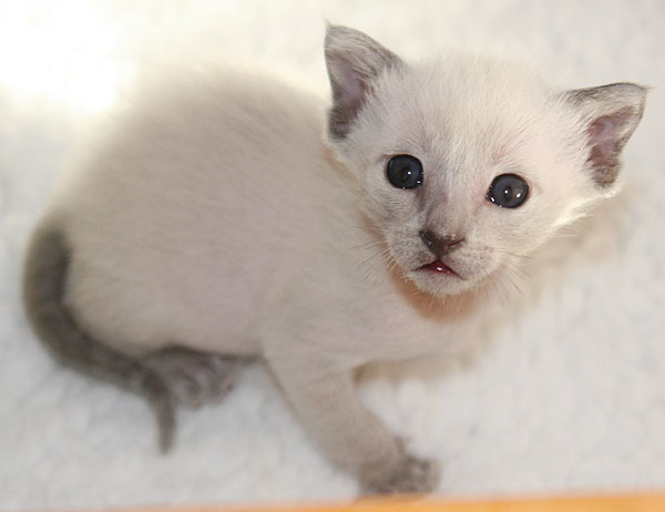 Photo: Carolin Skirl