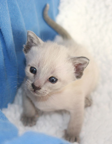 Photo: Carolin Skirl