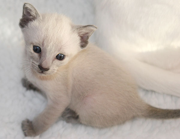 Photo: Carolin Skirl