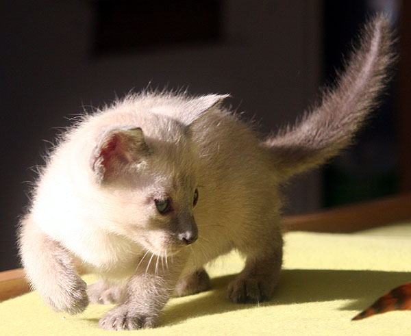 Photo: Carolin Skirl