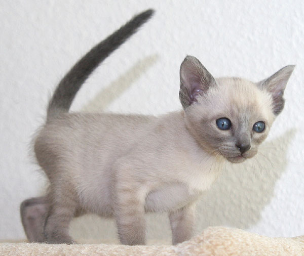 Photo: Carolin Skirl