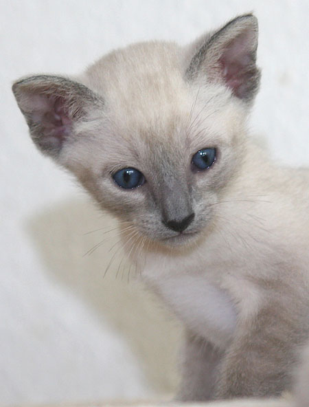 Photo: Carolin Skirl