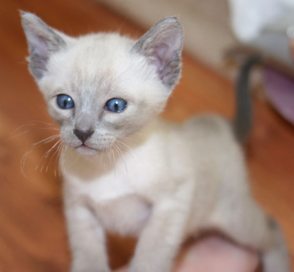 Photo: Carolin Skirl