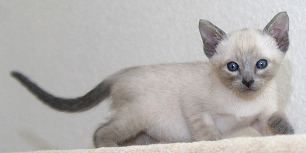 Photo: Carolin Skirl