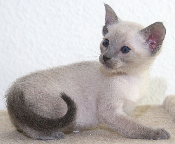 Photo: Carolin Skirl