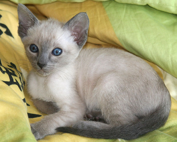 Photo: Carolin Skirl