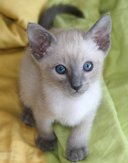 Photo: Carolin Skirl