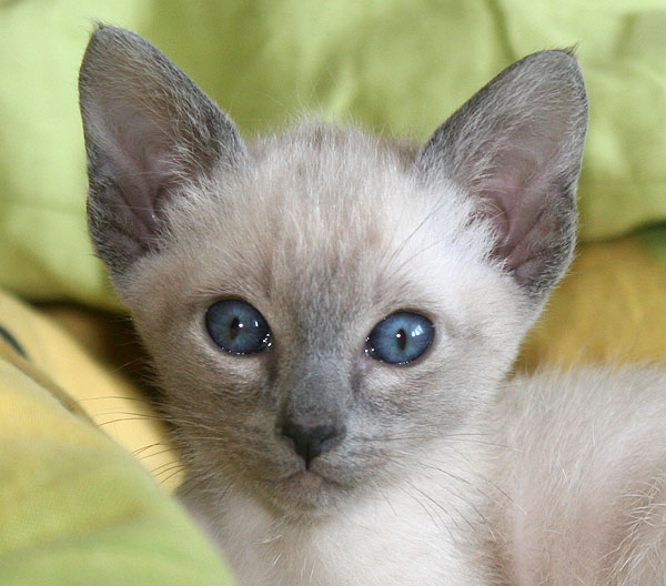 Photo: Carolin Skirl