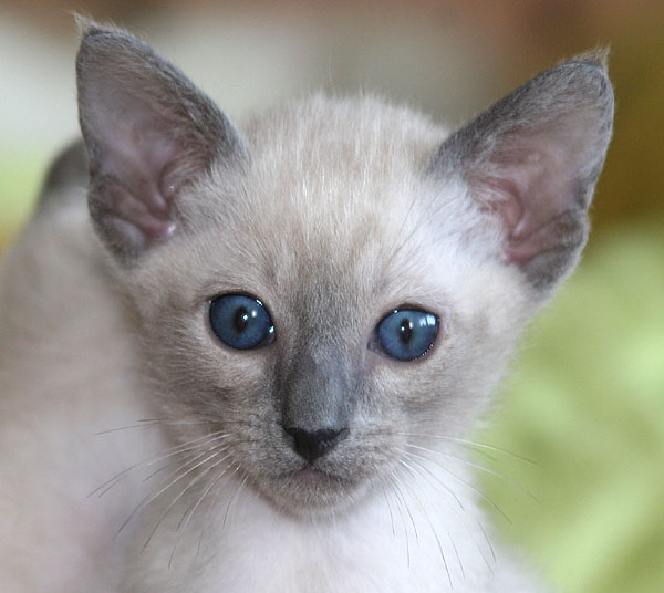 Photo: Carolin Skirl