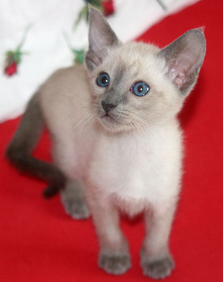 Photo: Carolin Skirl