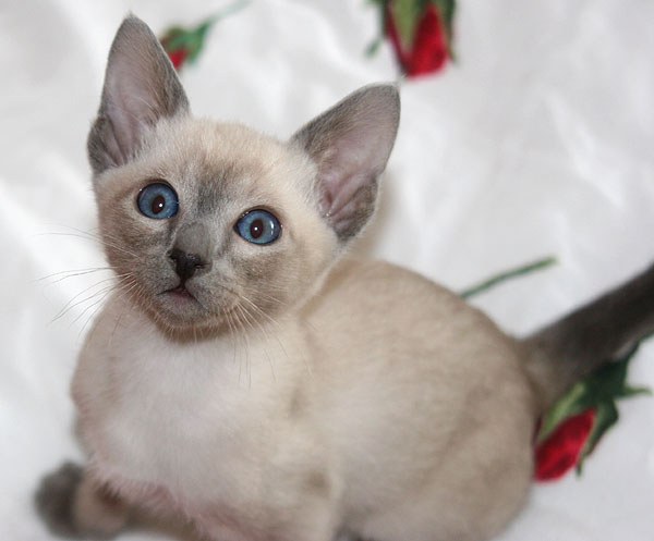 Photo: Carolin Skirl