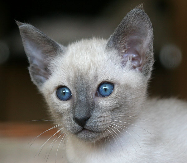 Photo: Carolin Skirl