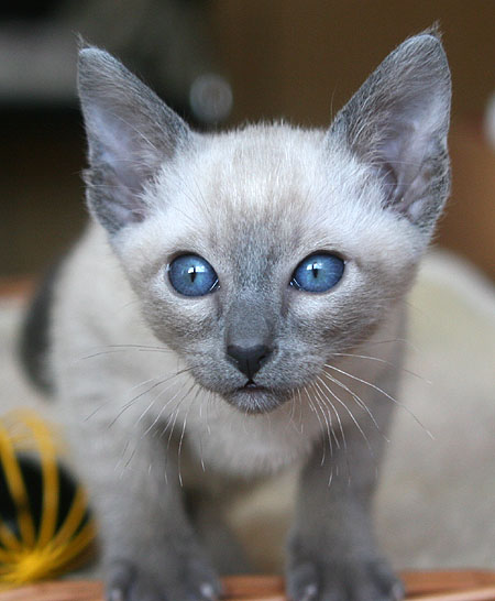 Photo: Carolin Skirl