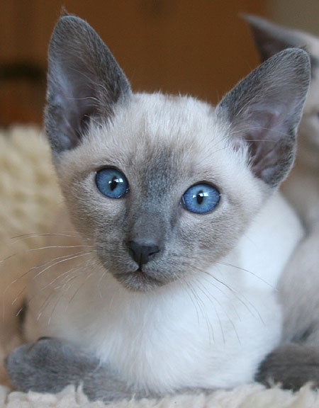 Photo: Carolin Skirl