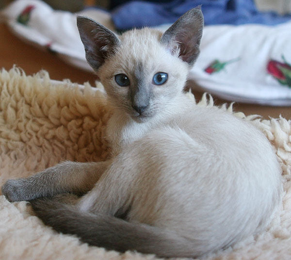 Photo: Carolin Skirl