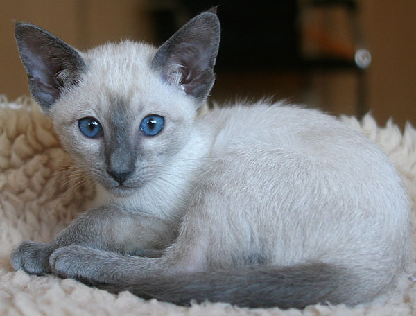 Photo: Carolin Skirl