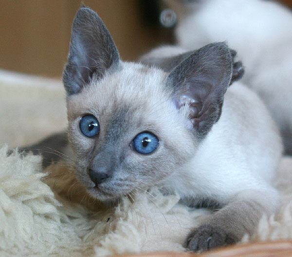 Photo: Carolin Skirl