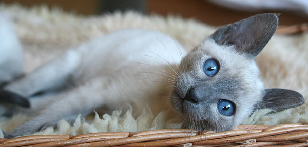 Photo: Carolin Skirl