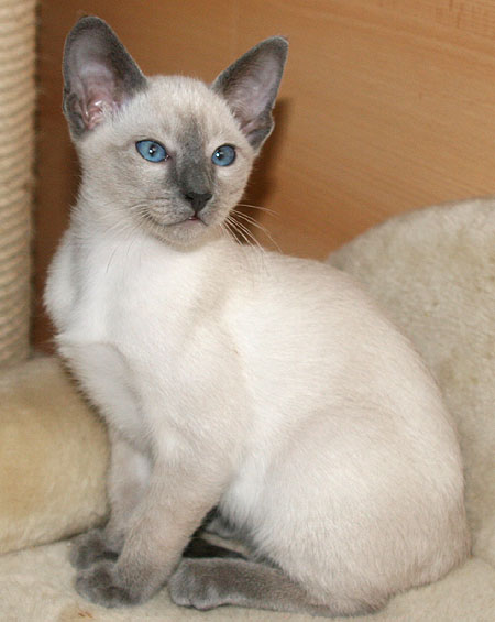 Photo: Carolin Skirl